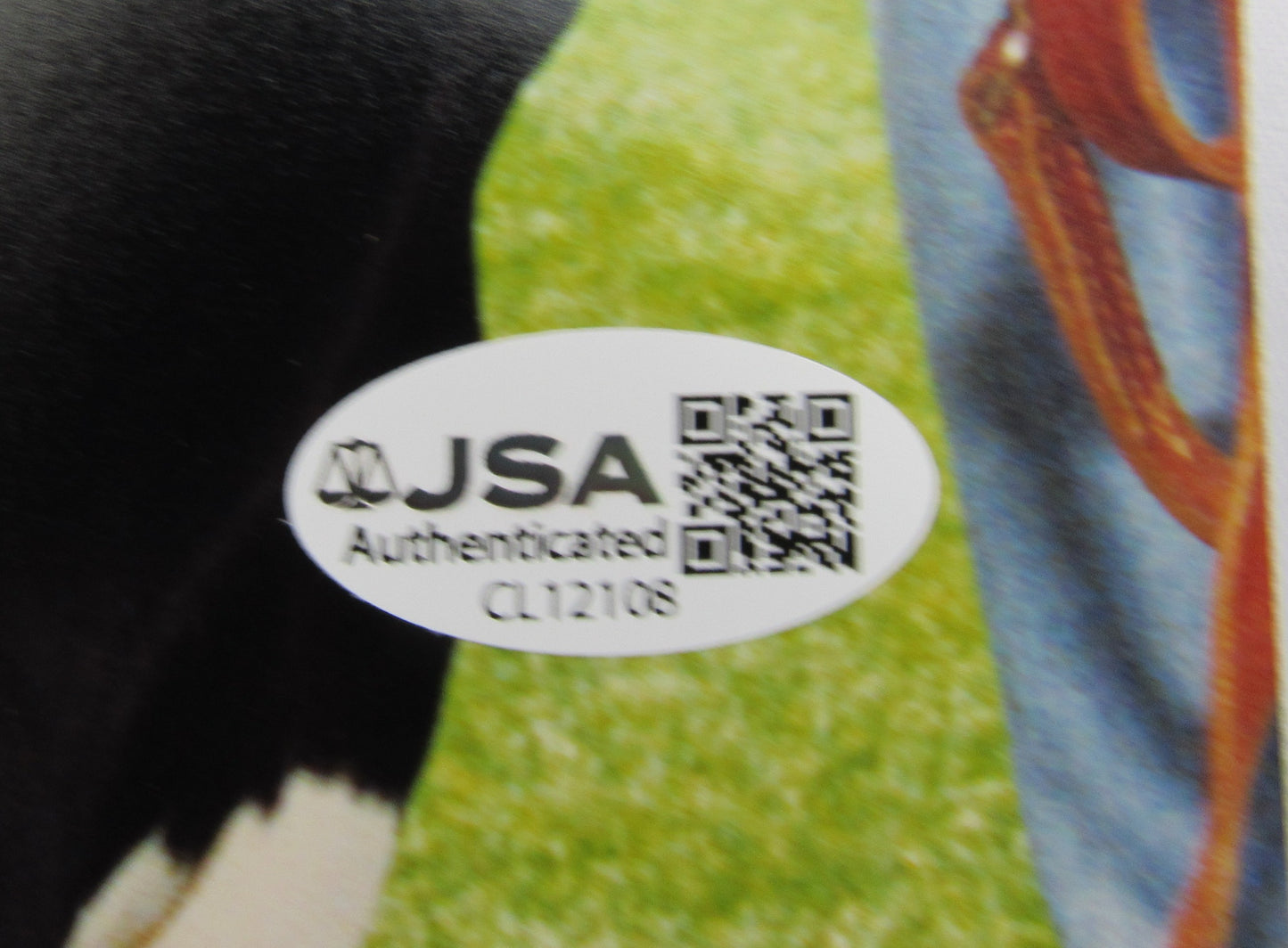 Phil Rizzuto Signed 8x10 Photo w/Cow JSA CL12108