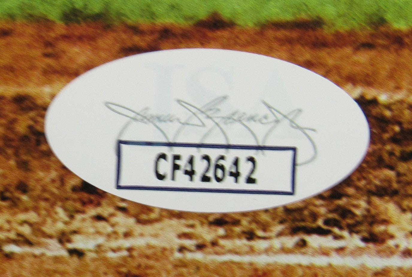 Steve Pearce Signed Auto Sports Illustrated Magazine JSA CF42642