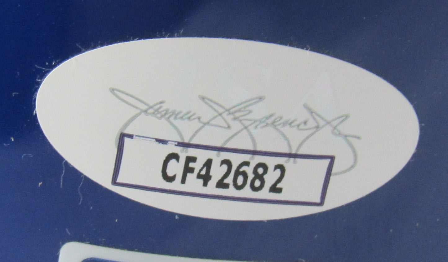 Andre Dawson Signed Auto Mini Helmet JSA CF42682