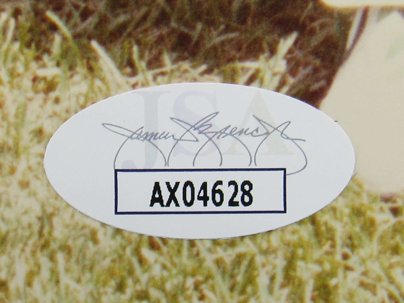 Billy Williams Signed Auto Autograph 8x10 Photo JSA AX04628