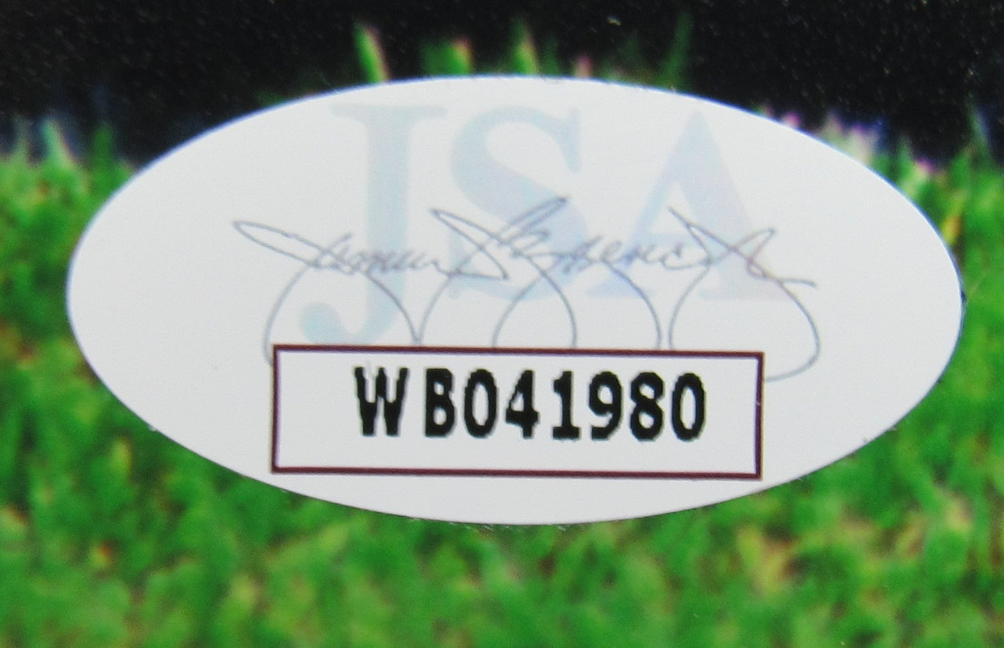 Lawrence Taylor Signed Auto Autograph 8x10 Photo JSA WB041980