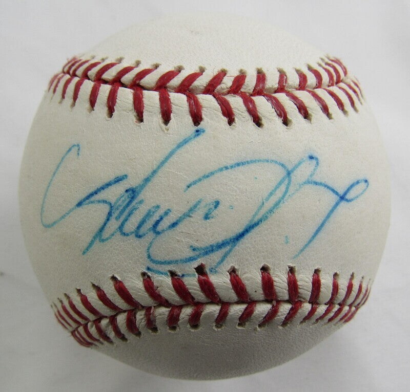 Avisail Garcia Signed Auto Autograph Rawlings Baseball B92