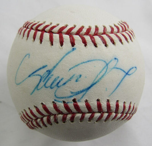 Avisail Garcia Signed Auto Autograph Rawlings Baseball B92