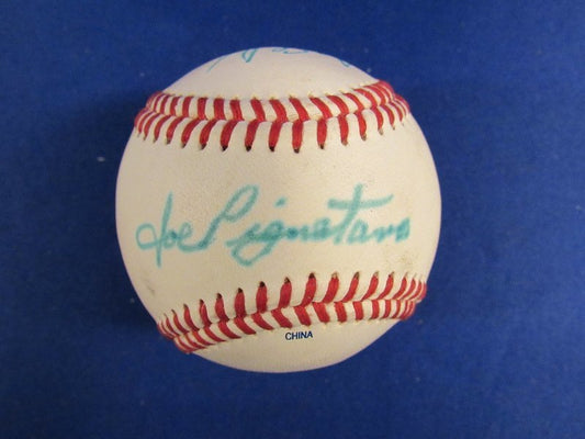 Art Shamsky Joe Pignatano Signed Auto Autograph Little League Baseball B91