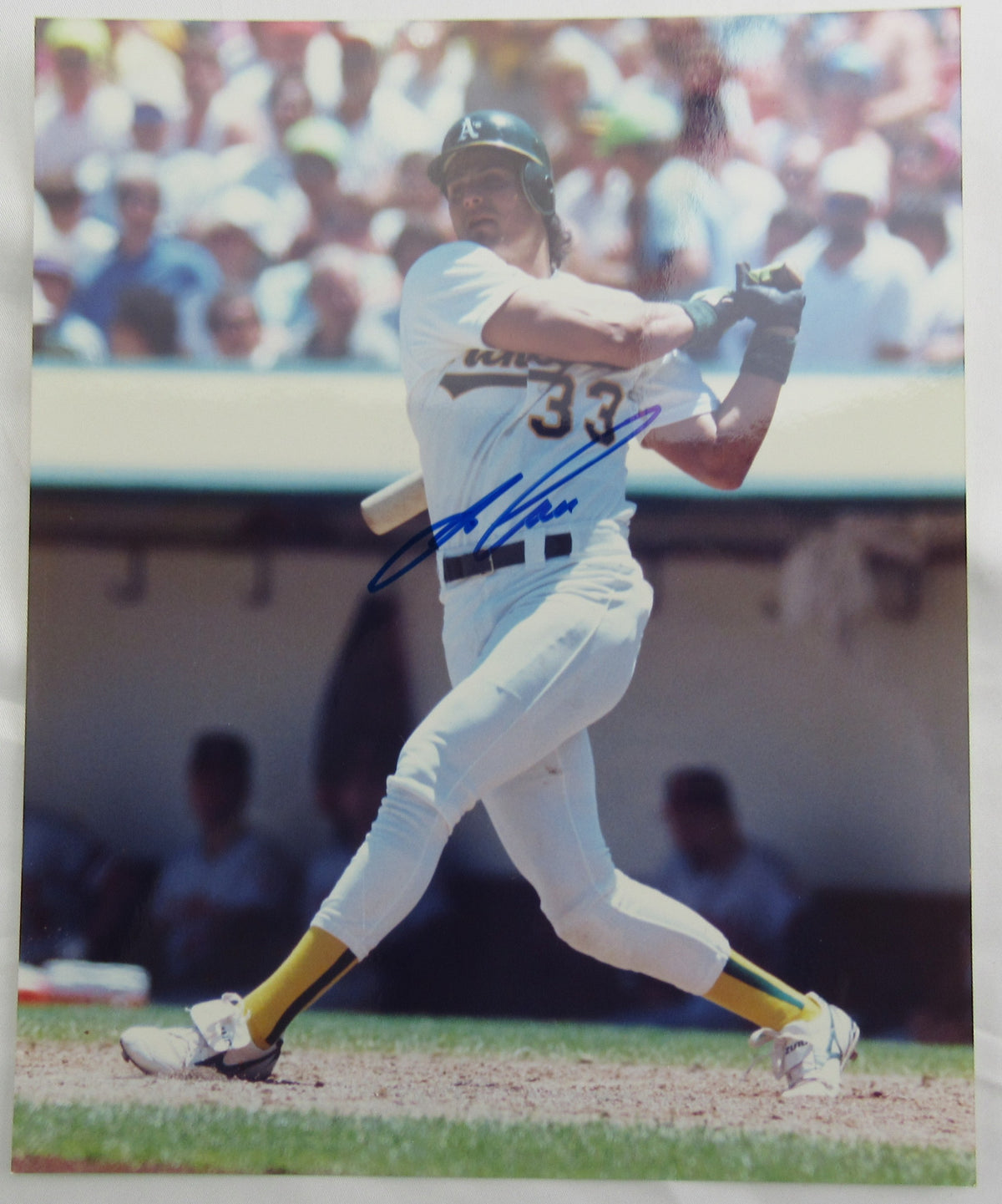 Jose Canseco Signed Auto 8x10 Photo