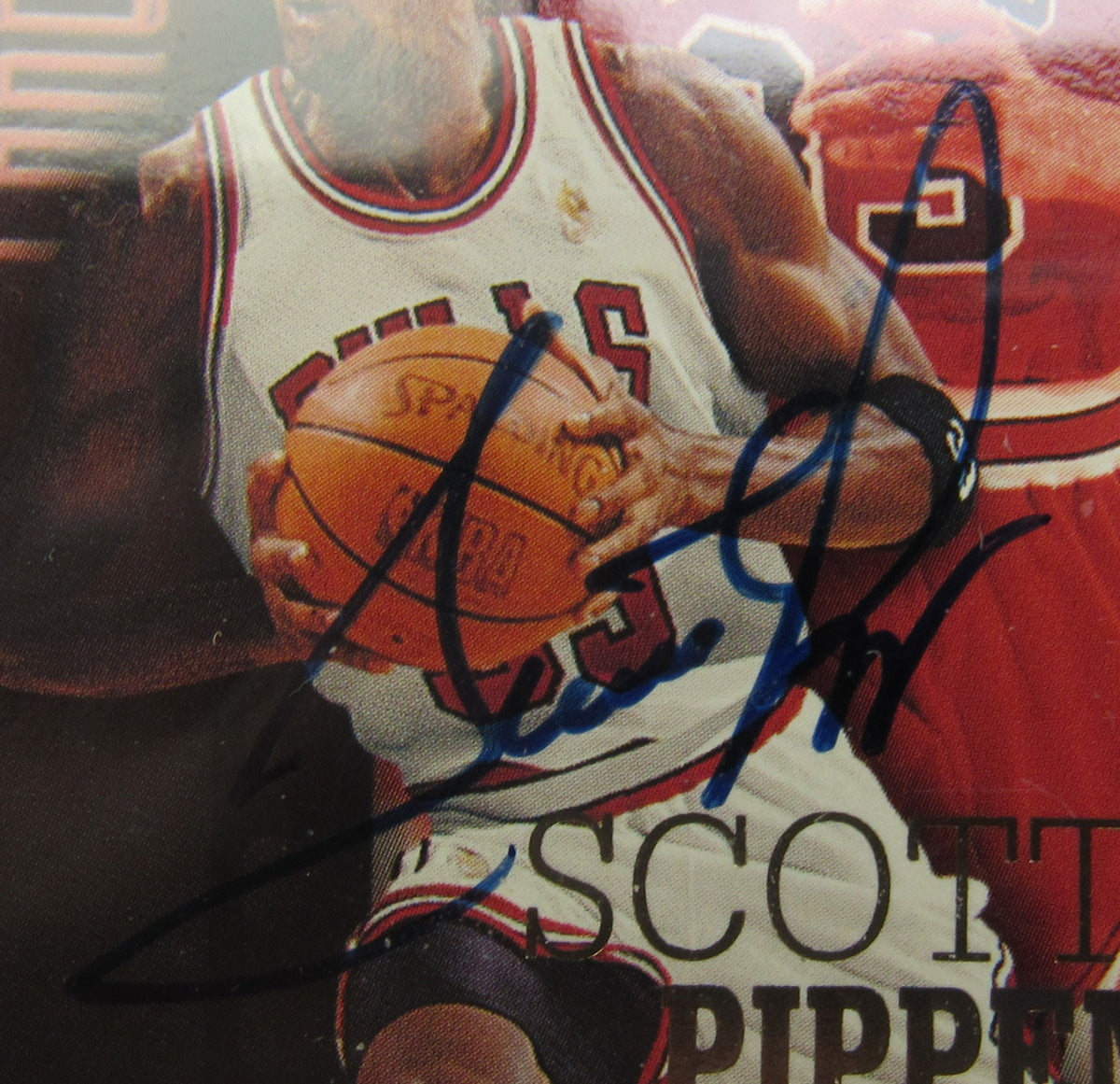 Scottie Pippen Signed Encapsulated NBA Hoops Basketball Card 131/150 - Score Board