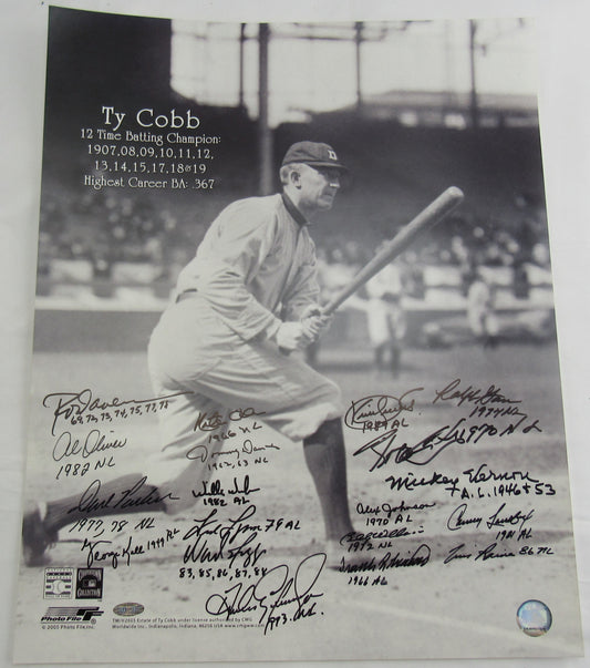 Kirby Puckett Frank Robinson Rod Carew Tim Raines Multi Signed Batting Leaders 16x20 Photo Steiner Hologram