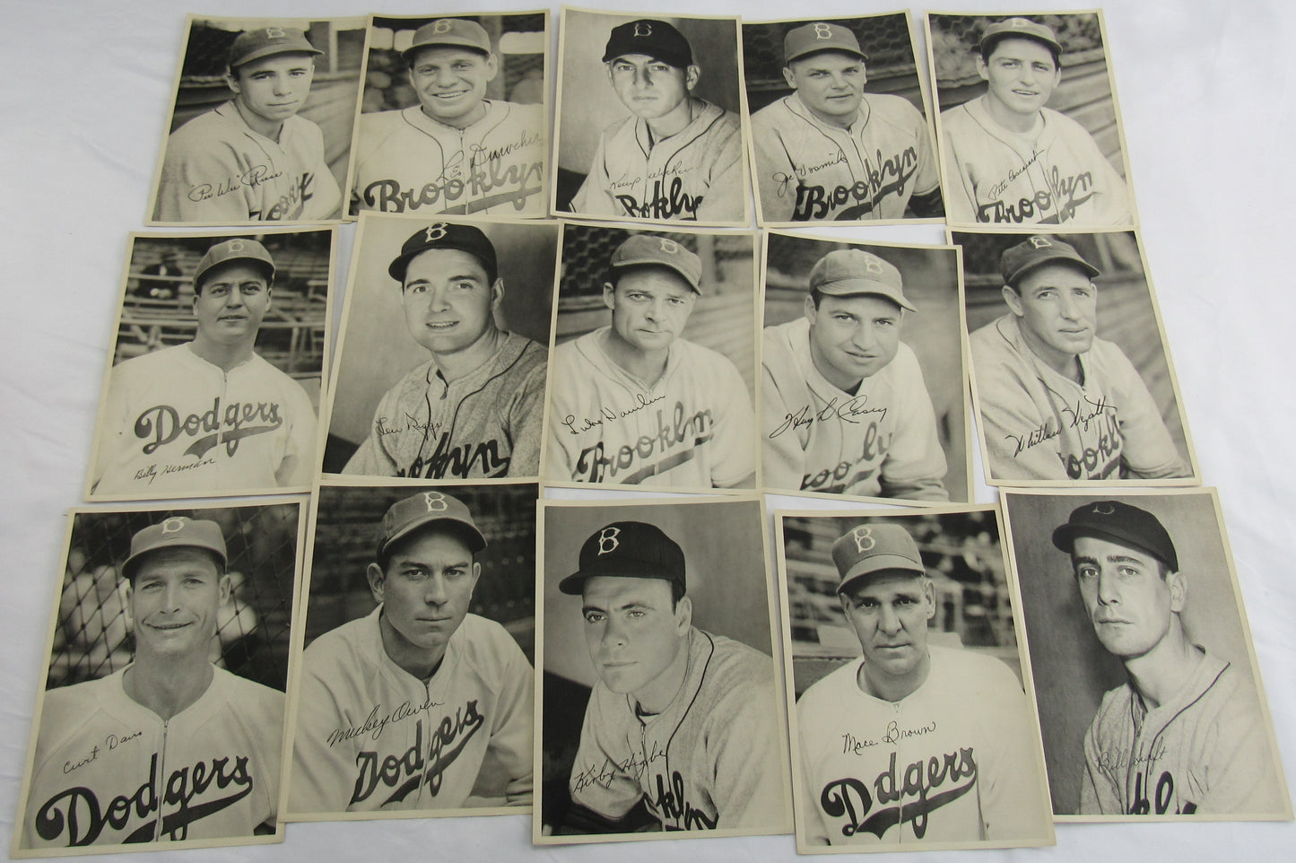 1946 Brookyln Dodgers Photo Set Packet - 15 Photos