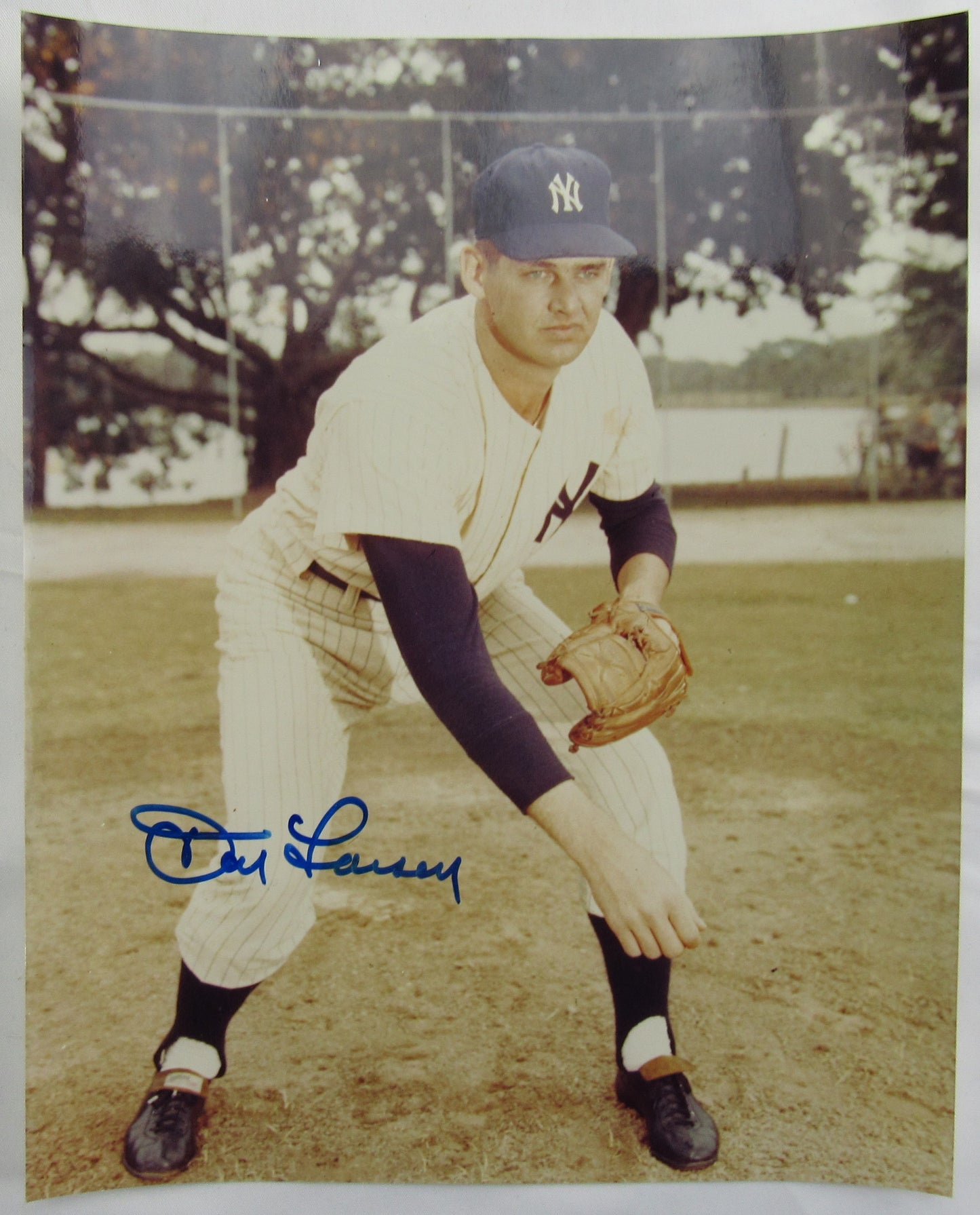 Don Larsen Signed 8x10 Photo