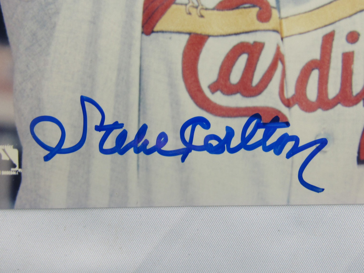 Steve Carlton Signed Auto Autograph 8x10 Photo JSA COA II