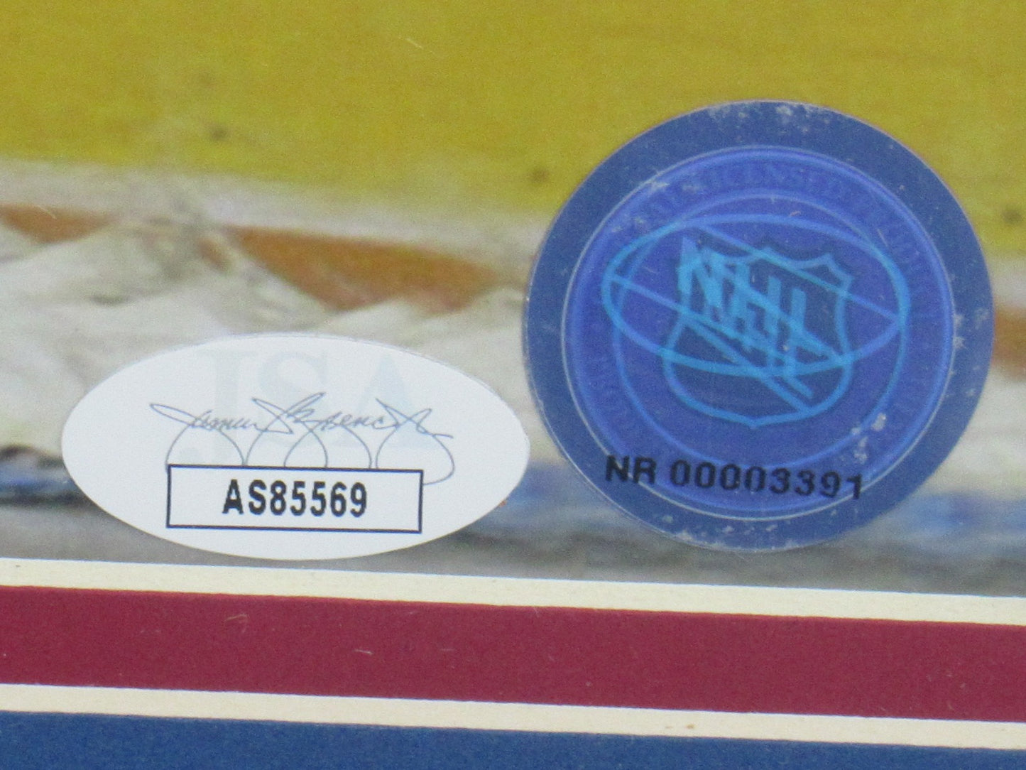 Mike Richter Signed Framed 16x20 Photo PSA/DNA K88610