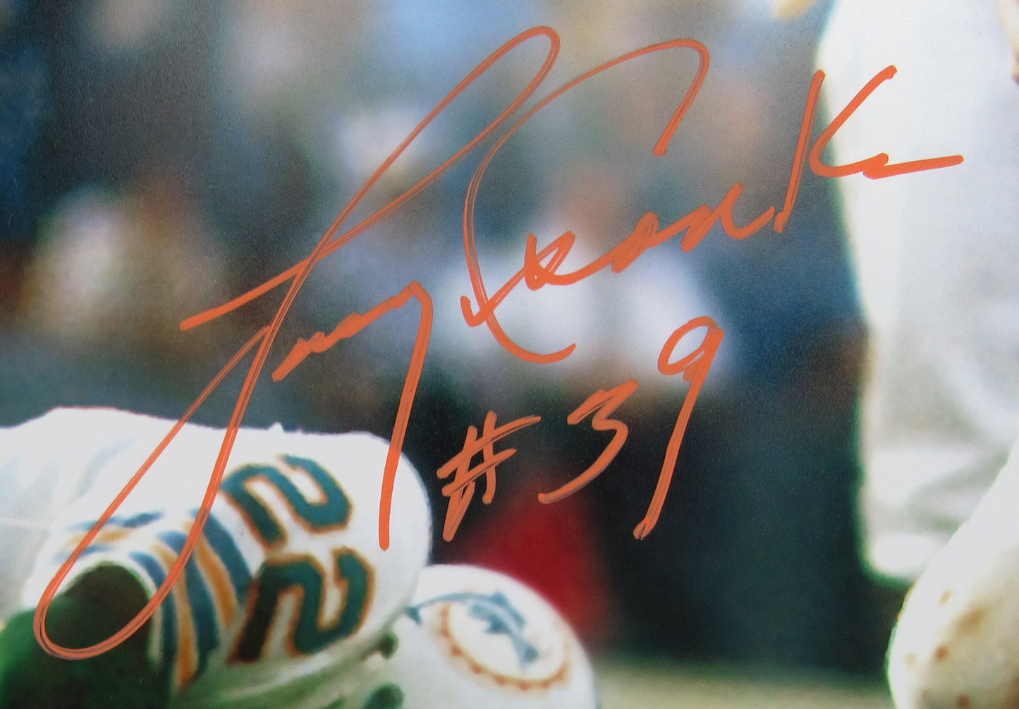 Larry Csonka Signed Auto Autograph 16x20 Photo JSA Witness WB019890