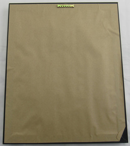 Stone Cold Steve Austin Signed Framed 8x10 Photo Beckett Holo BH84594