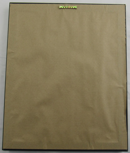 Stone Cold Steve Austin Signed Framed 8x10 Photo Beckett Holo BH84595